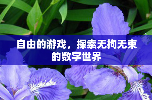 自由的游戏，探索无拘无束的数字世界