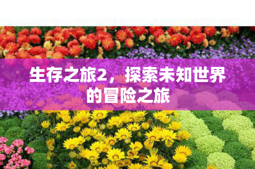 生存之旅2，探索未知世界的冒险之旅