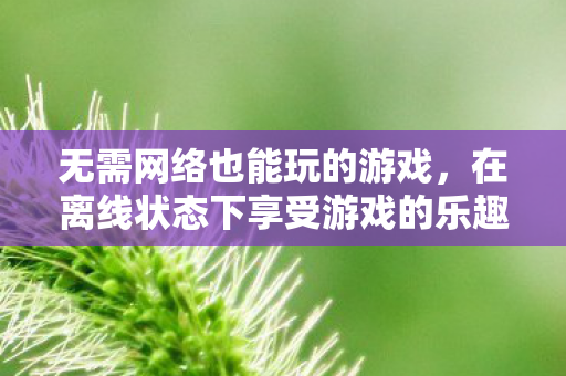 无需网络也能玩的游戏，在离线状态下享受游戏的乐趣