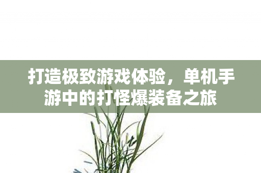 打造极致游戏体验,单机手游中的打怪爆装备之旅 打造极致游戏体验,单机手游中的打怪爆装备之旅