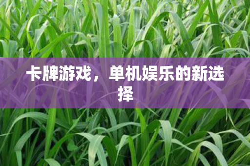 卡牌游戏，单机娱乐的新选择
