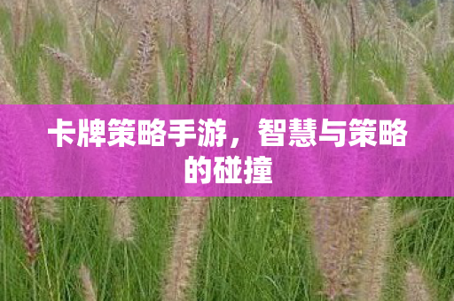 智慧与策略的碰撞图片