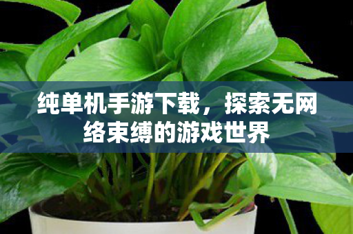 纯单机手游下载，探索无网络束缚的游戏世界
