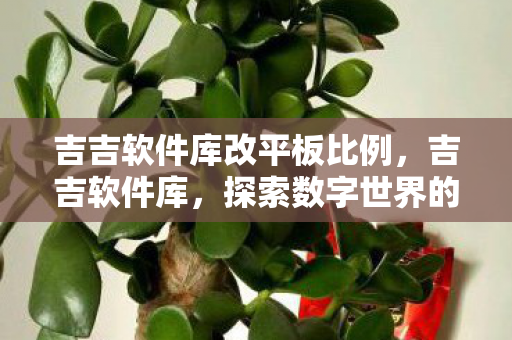 吉吉软件库改平板比例，吉吉软件库，探索数字世界的宝藏之地