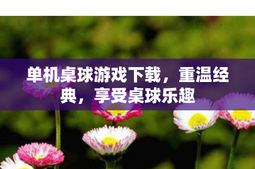 单机桌球游戏下载图片