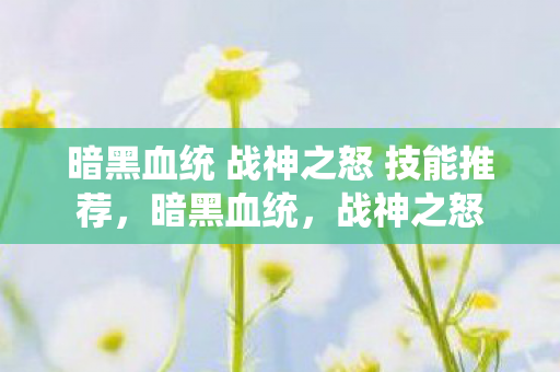 暗黑血统 战神之怒 技能推荐，暗黑血统，战神之怒