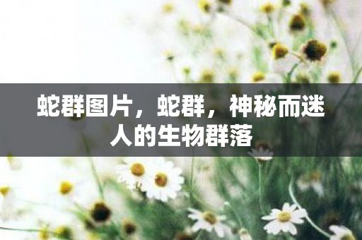 蛇群图片，蛇群，神秘而迷人的生物群落