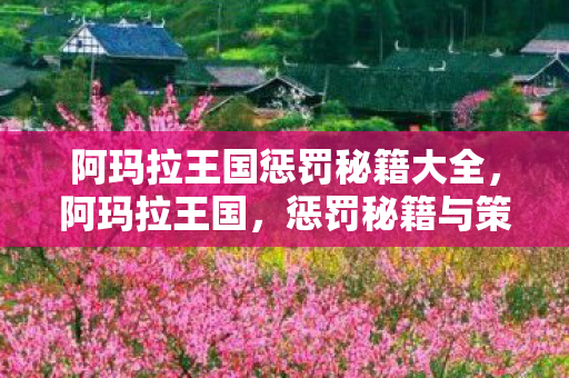 阿玛拉王国惩罚秘籍大全，阿玛拉王国，惩罚秘籍与策略指南