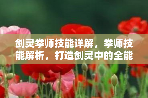 剑灵拳师技能详解，拳师技能解析，打造剑灵中的全能战士