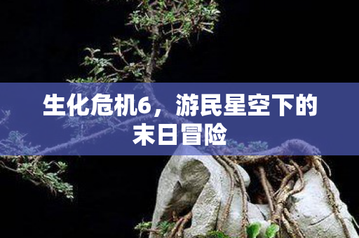 生化危机6,游民星空下的末日冒险 生化危机6,游民星空下的末日冒险