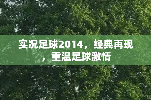 实况足球2014，经典再现，重温足球激情