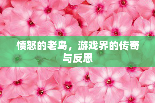 愤怒的老鸟，游戏界的传奇与反思