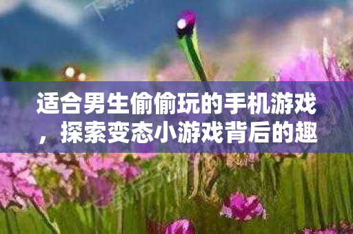 适合男生偷偷玩的手机游戏，探索变态小游戏背后的趣味与创意