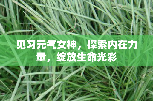 见习元气女神，探索内在力量，绽放生命光彩