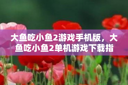 大鱼吃小鱼2游戏手机版，大鱼吃小鱼2单机游戏下载指南