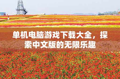 单机电脑游戏下载大全，探索中文版的无限乐趣