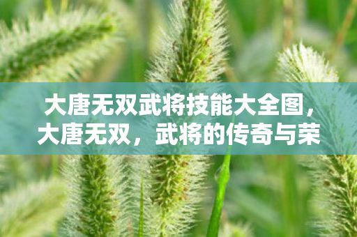 大唐无双武将技能大全图，大唐无双，武将的传奇与荣耀