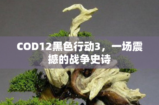 COD12黑色行动3，一场震撼的战争史诗