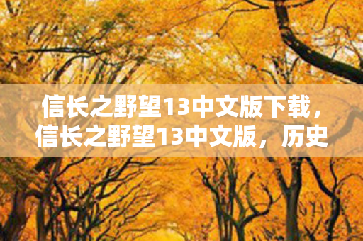信长之野望13中文版下载,信长之野望13中文版,历史与战略的完美融合 信长之野望13中文版下载,信长之野望13中文版,历史与战略的完美融合
