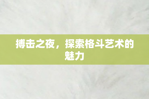 搏击之夜，探索格斗艺术的魅力
