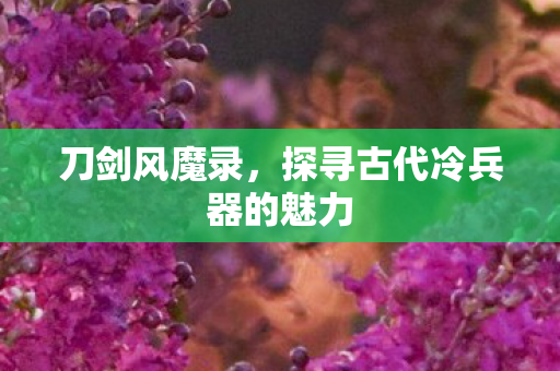 刀剑风魔录，探寻古代冷兵器的魅力