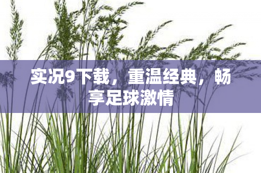 实况9下载,重温经典,畅享足球激情 实况9下载,重温经典,畅享足球激情