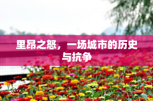 里昂之怒，一场城市的历史与抗争