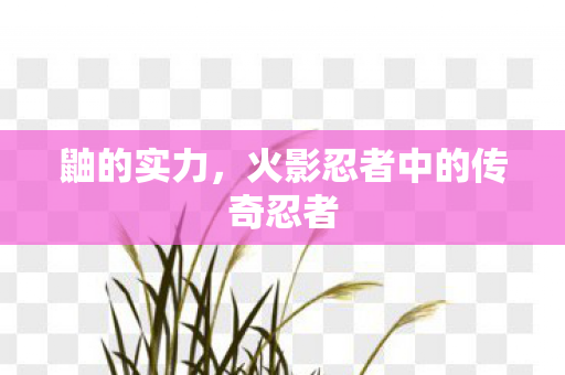 鼬的实力，火影忍者中的传奇忍者