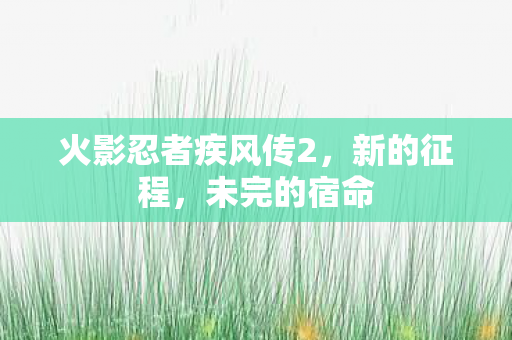 火影忍者疾风传2，新的征程，未完的宿命