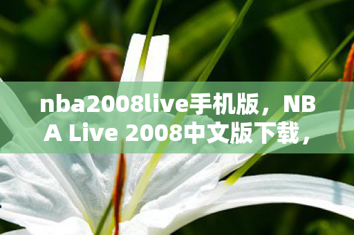 nba2008live手机版，NBA Live 2008中文版下载，重温经典篮球游戏的怀旧之旅