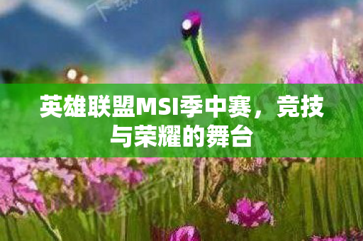 英雄联盟MSI季中赛，竞技与荣耀的舞台