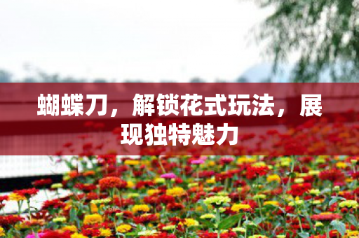 蝴蝶刀，解锁花式玩法，展现独特魅力