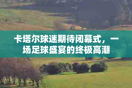 卡塔尔球迷期待闭幕式，一场足球盛宴的终极高潮