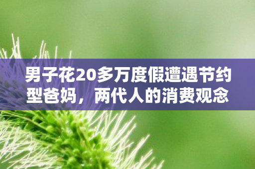 男子花20多万度假遭遇节约型爸妈，两代人的消费观念碰撞