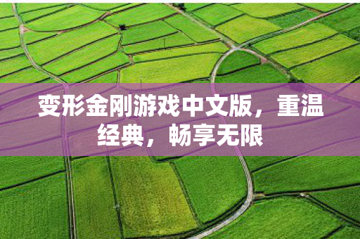 变形金刚游戏中文版，重温经典，畅享无限