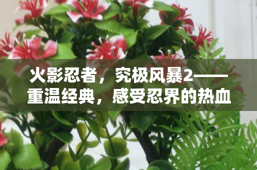 火影忍者，究极风暴2——重温经典，感受忍界的热血与感动