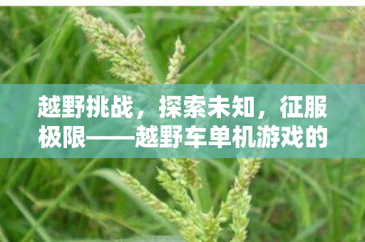 越野挑战，探索未知，征服极限——越野车单机游戏的魅力