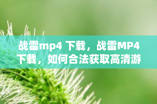 战雷mp4 下载，战雷MP4下载，如何合法获取高清游戏录像