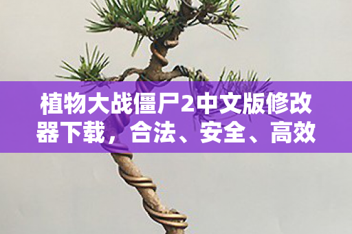 植物大战僵尸2中文版修改器下载,合法、安全、高效的攻略指南 植物大战僵尸2中文版修改器下载,合法、安全、高效的攻略指南