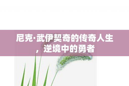 尼克·武伊契奇的传奇人生，逆境中的勇者