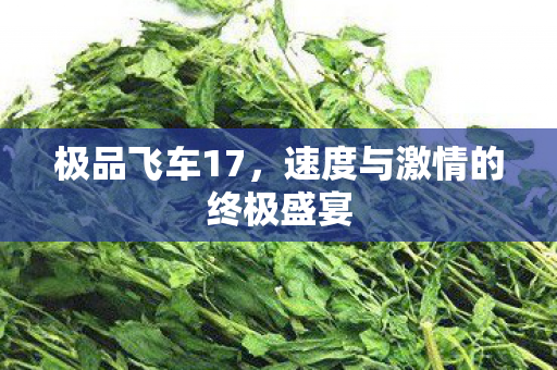 极品飞车17,速度与激情的终极盛宴 极品飞车17,速度与激情的终极盛宴