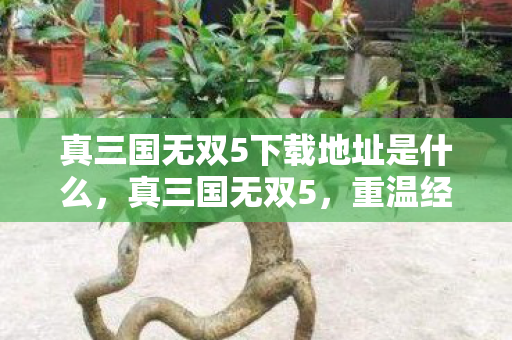 真三国无双5下载地址是什么，真三国无双5，重温经典战场的绝佳选择