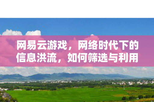 网易云游戏,网络时代下的信息洪流,如何筛选与利用网络资源 网易云游戏,网络时代下的信息洪流,如何筛选与利用网络资源