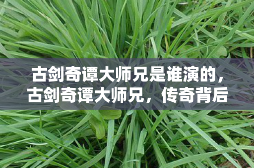 古剑奇谭大师兄是谁演的，古剑奇谭大师兄，传奇背后的故事