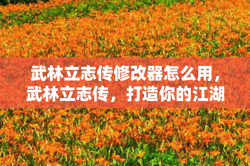 武林立志传修改器怎么用，武林立志传，打造你的江湖之旅