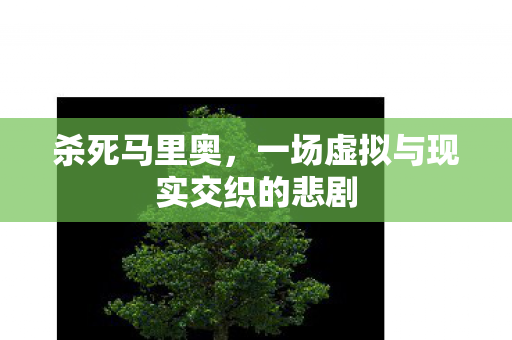 杀死马里奥，一场虚拟与现实交织的悲剧