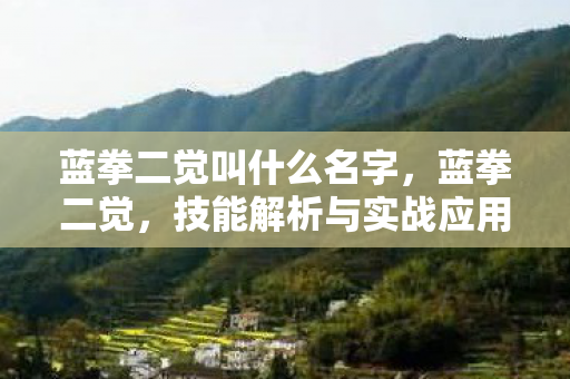 蓝拳二觉叫什么名字，蓝拳二觉，技能解析与实战应用