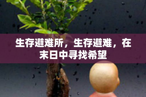 生存避难所，生存避难，在末日中寻找希望