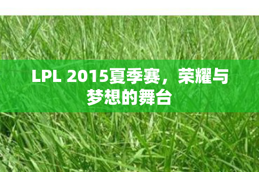 LPL 2015夏季赛，荣耀与梦想的舞台
