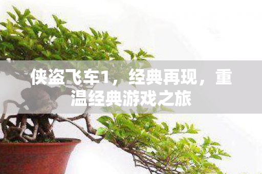 侠盗飞车1，经典再现，重温经典游戏之旅